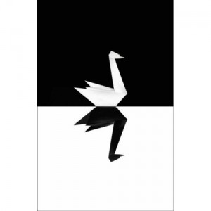 black-swan
